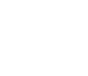 Virsion